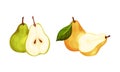 Fresh ripe pears set. Whole and cut in half organic yellow and green fruit vector illustration