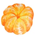 Fresh ripe peeled orange on white. colored pencils drawing