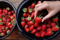 Fresh ripe perfect strawberry Royalty Free Stock Photo