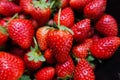 Fresh ripe perfect strawberry Royalty Free Stock Photo