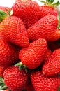 Fresh ripe perfect strawberry Royalty Free Stock Photo