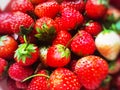 Fresh ripe perfect strawberry - Food Frame Background Royalty Free Stock Photo