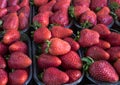 Fresh ripe perfect strawberry - Food Frame Background. Royalty Free Stock Photo