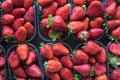 Fresh ripe perfect strawberry - Food Frame Background. Royalty Free Stock Photo