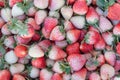 Fresh ripe perfect strawberry - Food Frame Background Royalty Free Stock Photo