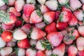 Fresh ripe perfect strawberry - Food Frame Background Royalty Free Stock Photo