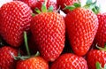 Fresh ripe perfect strawberry Royalty Free Stock Photo