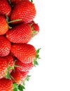 Fresh ripe perfect strawberry Royalty Free Stock Photo