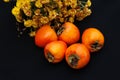 Fresh ripe persimmon on a black background . Persimmons fruit, Ripe sweet persimmons Royalty Free Stock Photo