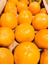 Fresh ripe persimmons placed on table in market. Organic persimmon fruit in pile at local farmers market. Persimmons background ÃÂ Royalty Free Stock Photo