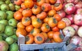 Fresh ripe  persimmons placed on table in market. Organic persimmon fruit in pile at local farmers market Royalty Free Stock Photo