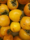 Fresh ripe persimmons placed on table in market. Organic persimmon fruit in pile at local farmers market. Persimmons background. Royalty Free Stock Photo