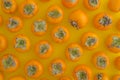 Fresh ripe persimmons flat lay. Organic persimmon fruit on orange table top view Persimmons background. Royalty Free Stock Photo