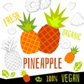 Fresh ripe pineapple slice tropical fruits organic vegan food vector hand drawn illustrations Royalty Free Stock Photo