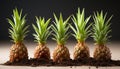 Fresh, ripe pineapple slice on wooden table, a tropical delight generated by AI Royalty Free Stock Photo