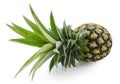 Fresh ripe pineapples isolated on white background Royalty Free Stock Photo