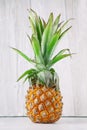 Fresh ripe pineapples, rustic food photography on white wood plate kitchen table Royalty Free Stock Photo