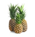 Fresh ripe pineapples on white background Royalty Free Stock Photo