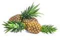 Fresh ripe pineapples on white background Royalty Free Stock Photo