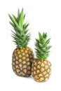 Fresh ripe pineapples on white background Royalty Free Stock Photo