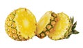 Fresh ripe pineapples on white background Royalty Free Stock Photo