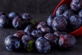 Ripe plums over dark table background close up Royalty Free Stock Photo