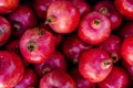 Fresh ripe pomegranates in the box Royalty Free Stock Photo