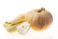 Fresh ripe pumpkin and marrows. Royalty Free Stock Photo