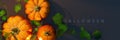 Fresh ripe pumpkins with Halloween text on dark background