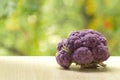 Fresh ripe purple cauliflower. Healthy food on table on defocus autumn background.
