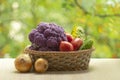 Fresh ripe purple cauliflower, onion, red tomatoes and green cucumber in basket. Healthy food on table on defocus autumn