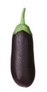 Fresh ripe purple eggplant isolated Royalty Free Stock Photo