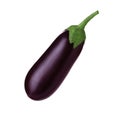 Fresh ripe purple eggplant isolated on white Royalty Free Stock Photo