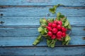 Fresh ripe radishes on blue table