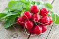 Fresh ripe radishes bundle on wooden board.