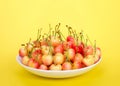 Fresh ripe rainier cherries in a bowl on yellow background Royalty Free Stock Photo