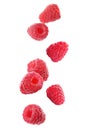 Fresh ripe raspberries falling on background Royalty Free Stock Photo