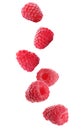 Fresh ripe raspberries falling on background Royalty Free Stock Photo