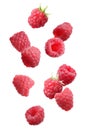 Fresh ripe raspberries falling on background Royalty Free Stock Photo