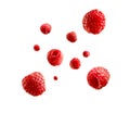 Fresh ripe raspberries flying in the air isolated on white background. Food levitation Royalty Free Stock Photo