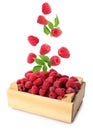 Fresh ripe raspberries with green leaves falling into wooden crate on background Royalty Free Stock Photo