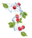 Fresh ripe raspberries with green leaves and water splash on background Royalty Free Stock Photo