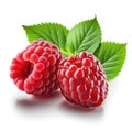 fresh ripe raspberries isolated on a white background