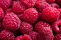 Fresh ripe raspberries macro shot, summer fruit background Royalty Free Stock Photo