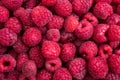 Fresh ripe raspberries macro shot, summer fruit background Royalty Free Stock Photo