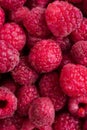 Fresh ripe raspberries macro shot, summer fruit background Royalty Free Stock Photo