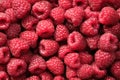 Fresh ripe raspberries, top view. Royalty Free Stock Photo