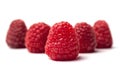 Fresh ripe raspberries on a white background - a group of five berries. Royalty Free Stock Photo