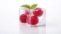 Fresh ripe raspberry berry in a frozen ice cube for cooling cocktails and summer drinks. Royalty Free Stock Photo