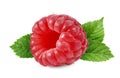 Fresh ripe raspberry with green leaves isolated on white Royalty Free Stock Photo